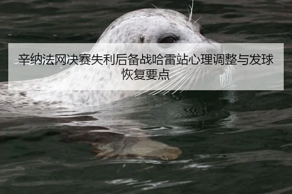 xin-na-fa-wang-jue-sai-shi-li-hou-bei-zhan-ha-lei-zhan-xin-li-tiao-zheng-yu-fa-qiu-hui-fu-yao-dian-2-616.jpg