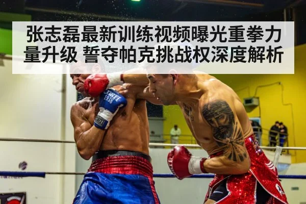 张志磊最新训练视频曝光重拳力量升级 誓夺帕克挑战权深度解析