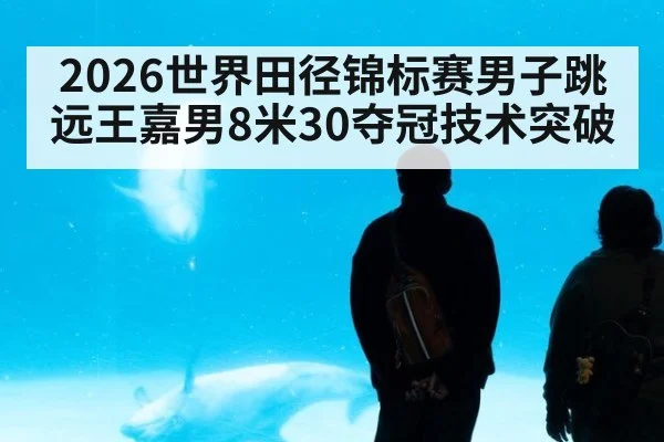 2026世界田径锦标赛男子跳远王嘉男8米30夺冠技术突破