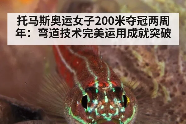 托马斯奥运女子200米夺冠两周年:弯道技术完美运用成就突破
